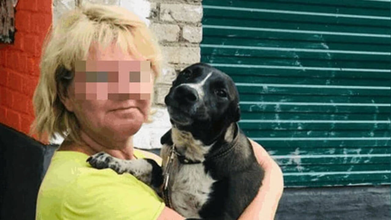 В Башкирии обрел семью щенок, которого изуродовал живодер