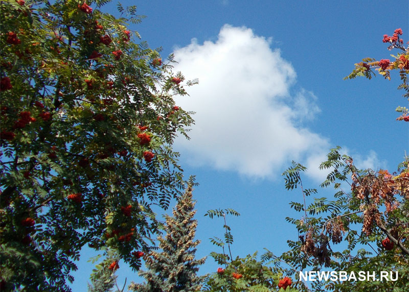 Погода в Башкирии 21 августа 2022 года: тепло и без осадков