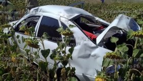 В Башкирии, опрокинувшись в кювет, погиб водитель Лады Калина