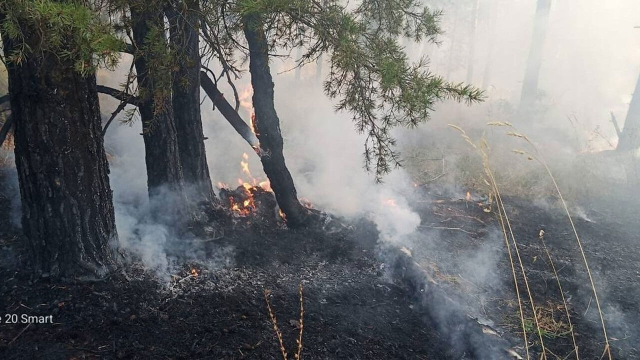 В Башкирии от попадания молнии загорелся лес в Зилаирском районе