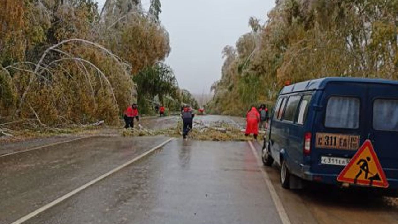 В Зилаирском районе Башкирии из-за мокрого снега на трассу погнуло деревья