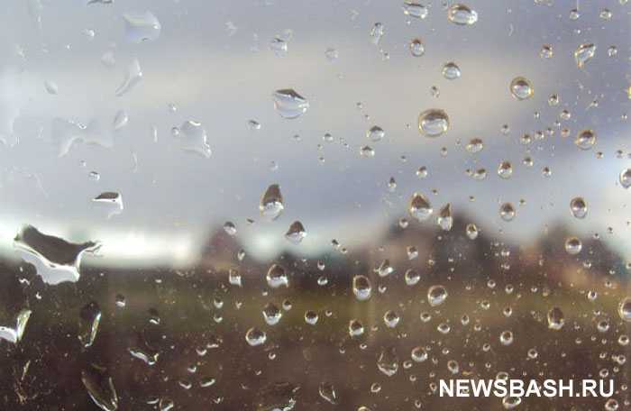 Погода в Башкирии 12 октября 2022 года прогнозируются дожди