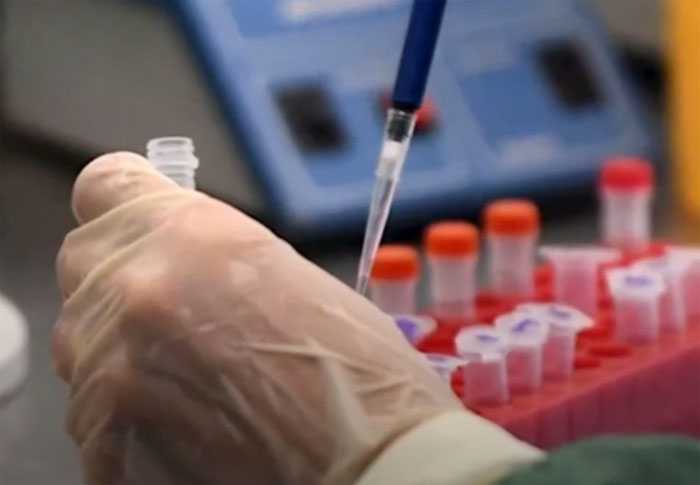 В Уфе обнаружили случай завоза опасного гриппа A(H3N2) из Египта