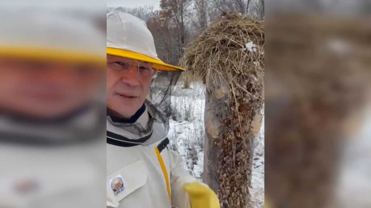 Глава Башкортостана  предложил выделить субсидии для башкирских пчеловодов