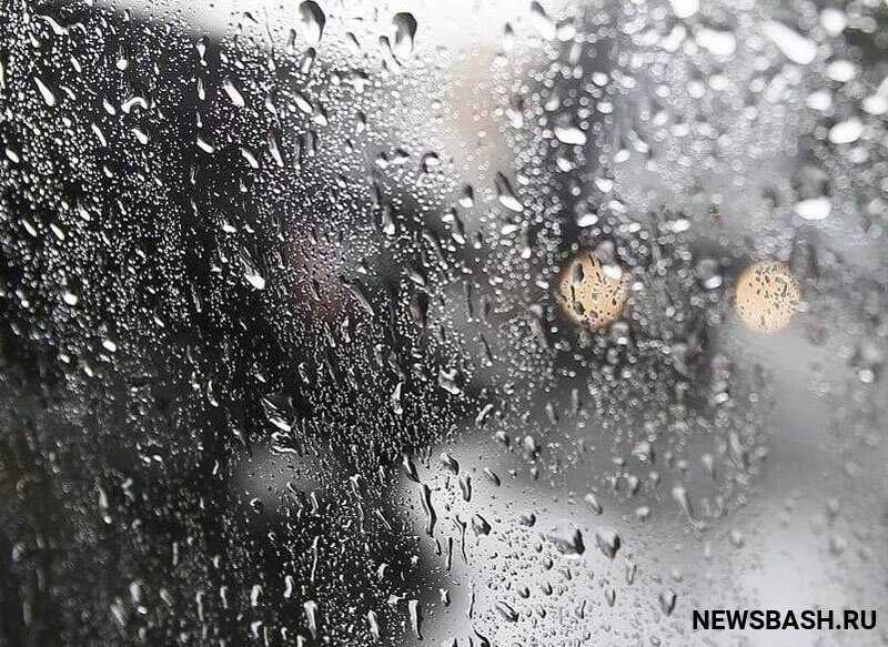 Погода в Башкирии 13 ноября 2022 года: сильный дождь и ветер