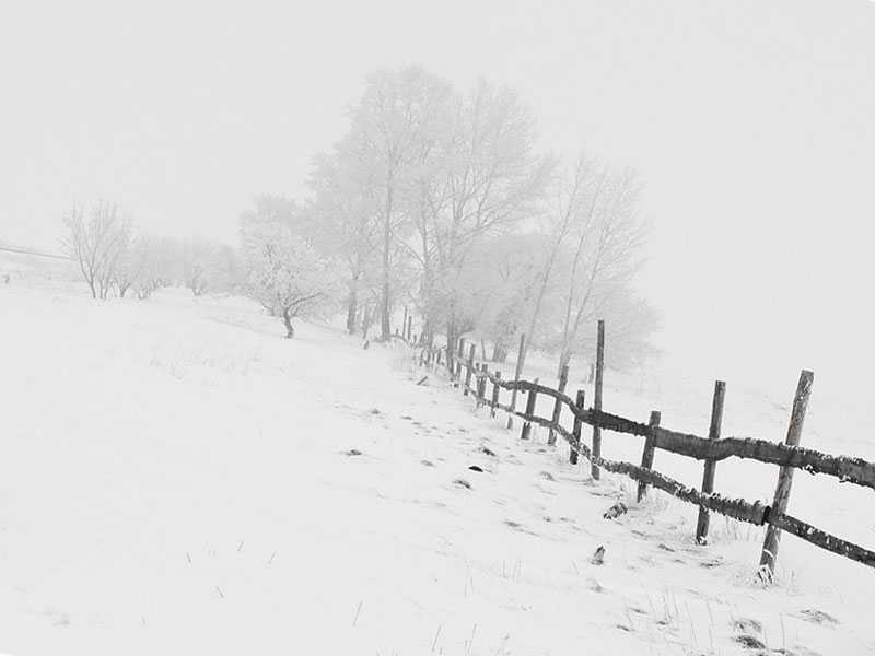 Погода в Башкирии 5 декабря 2022 года: небольшой снег и морозы по ночам