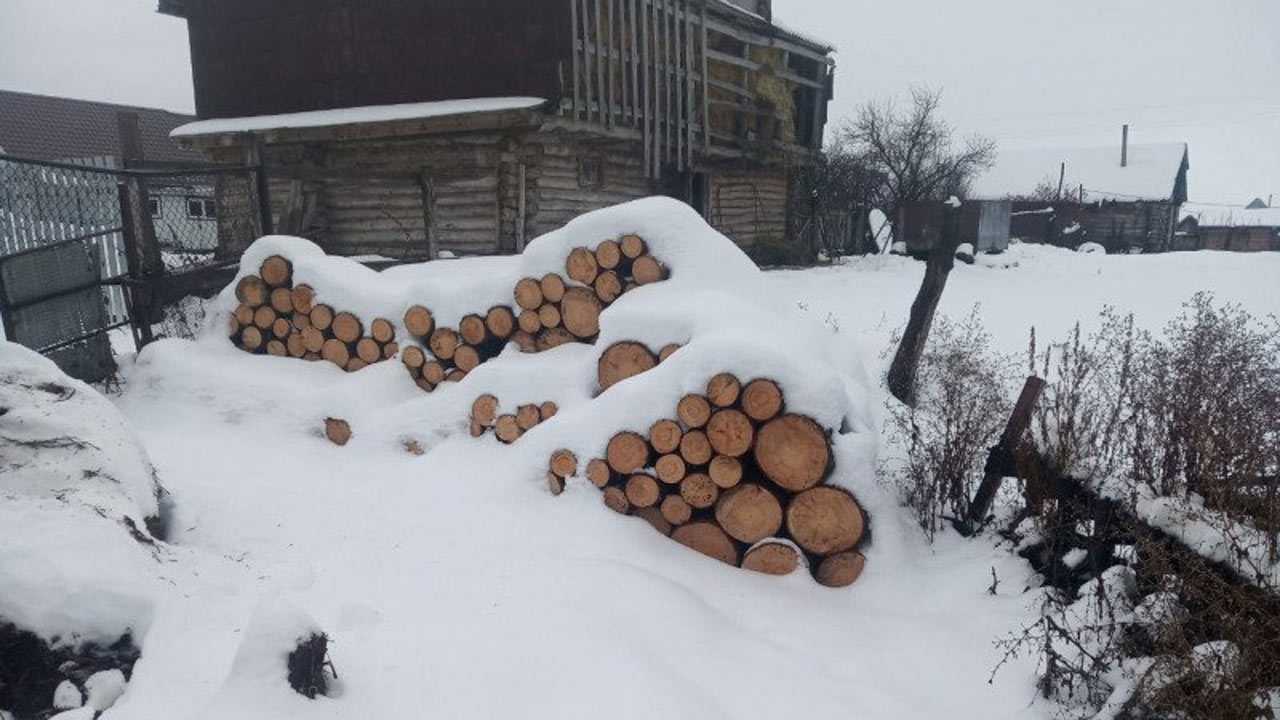 Житель Ермекеевского района Башкирии незаконно вырубил лес на 150 тысяч рублей