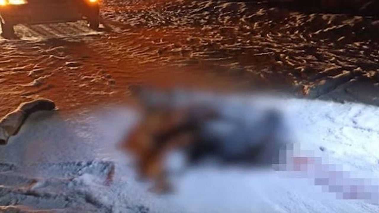 В Салаватском районе Башкирии мужчина насмерть задавил сидящего на дороге пешехода
