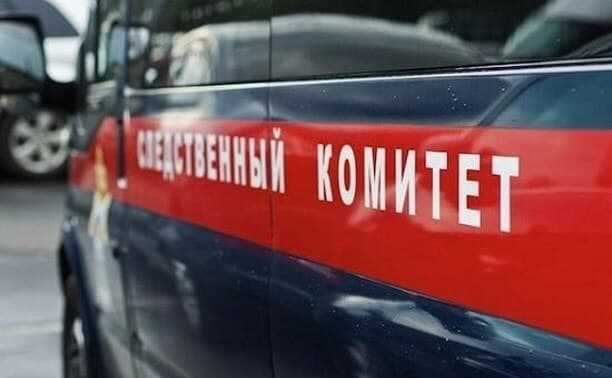В Мечетлинском районе Башкирии на улице нашли тело замерзшей 17-летней девушки