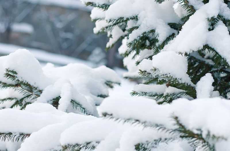 В Башкирии 30 декабря 2022 года ожидаются снегопады и морозы до -22°