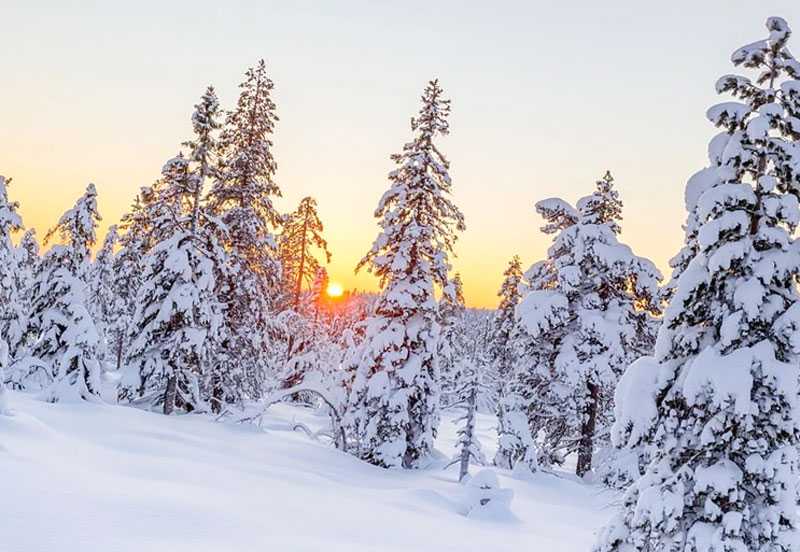 В Башкирии 1 января 2023 года прогнозируются морозы до -25°