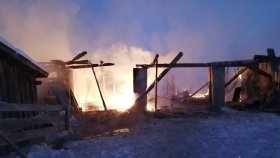 В Дуванском районе Башкирии в пожаре погибли 12 лошадей