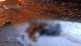 В Салаватском районе Башкирии на трассе столкнулись две фуры: есть пострадавшие