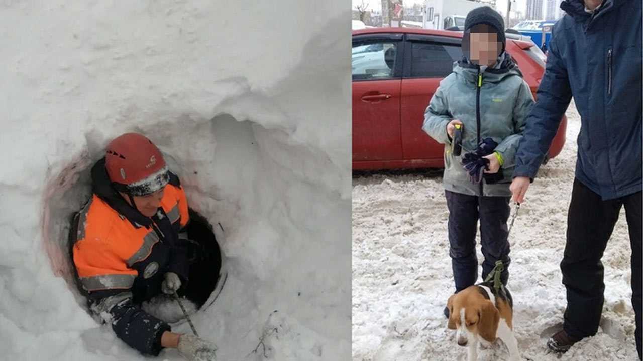 В Уфе 10-летний мальчик вместе с собакой провалился в открытый люк