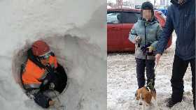 В Уфе 10-летний мальчик вместе с собакой провалился в открытый люк