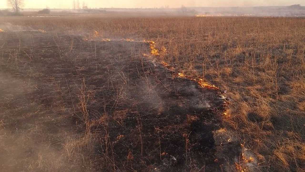 На поле в Башкирии на площади 2 гектара загорелась трава