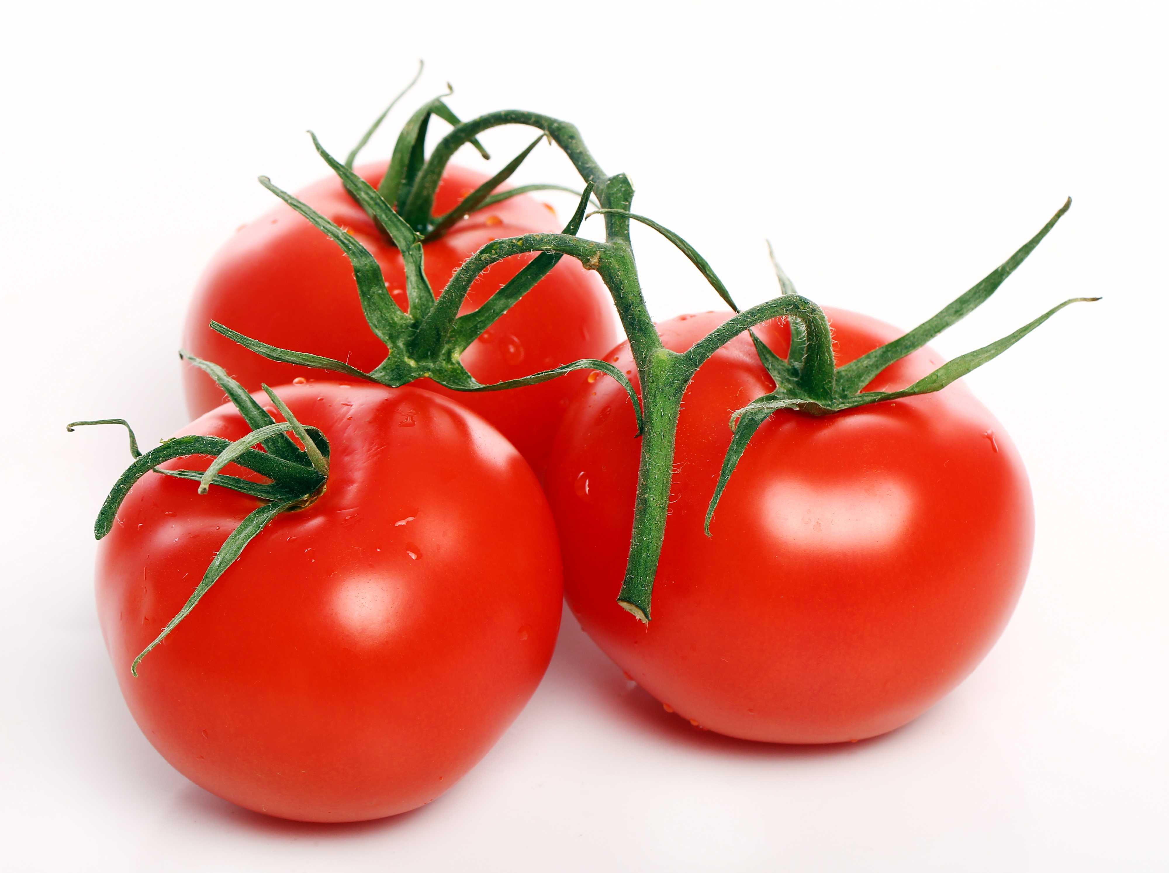Пикировка томатов — когда рассаживать помидоры и как это правильно делать