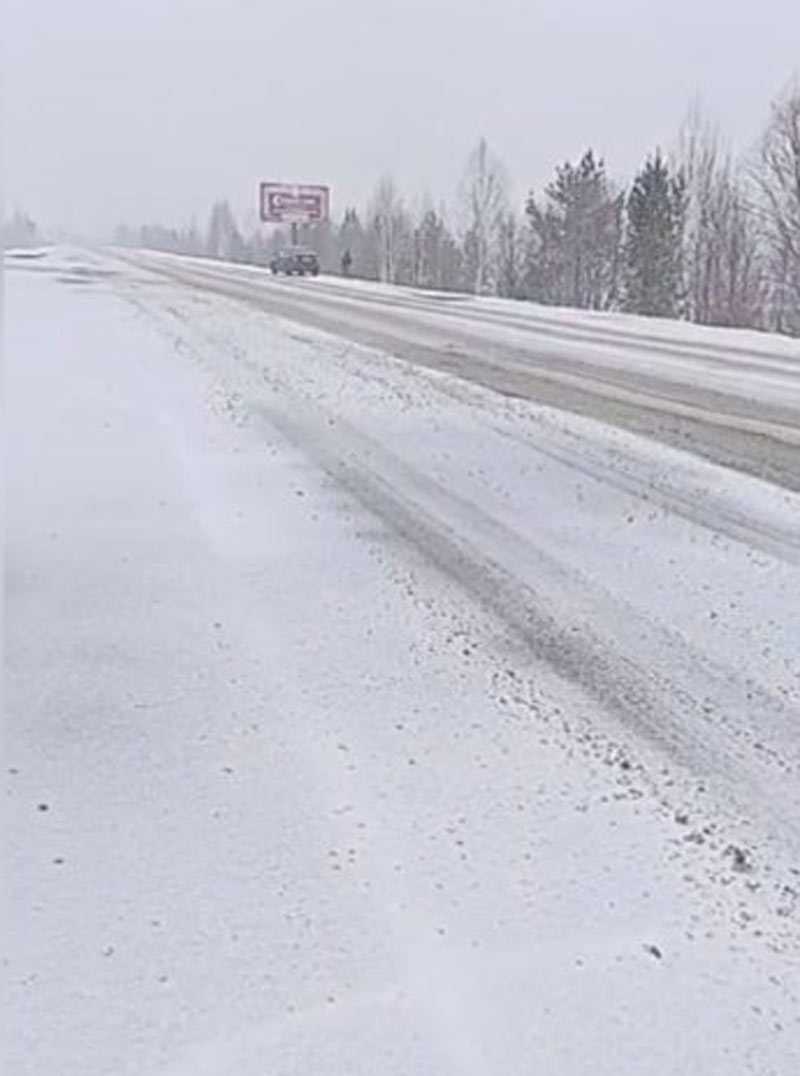 В Башкирии в двух районах выпал снег