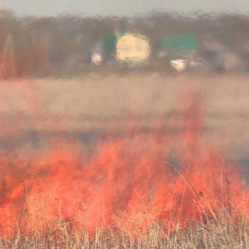 В Башкирии произошел лесной пожар
