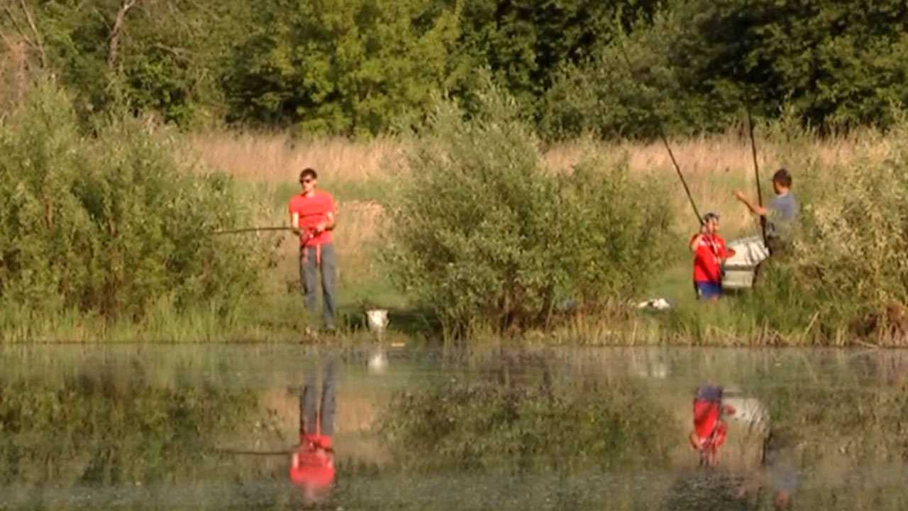 В Башкирии ввели ограничения на ловлю рыбы