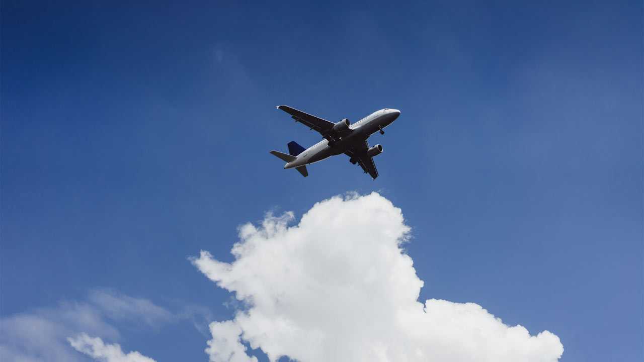 Самолет "Аэрофлота" летевший в Уфу столкнулся с птицей