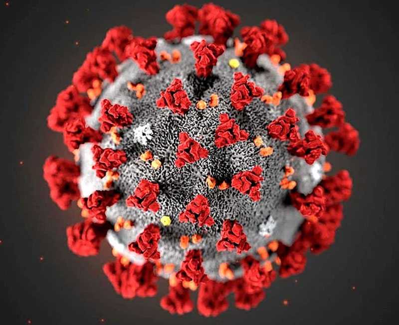 Минздрав Башкирии опубликовал последние данные о смертности от коронавируса