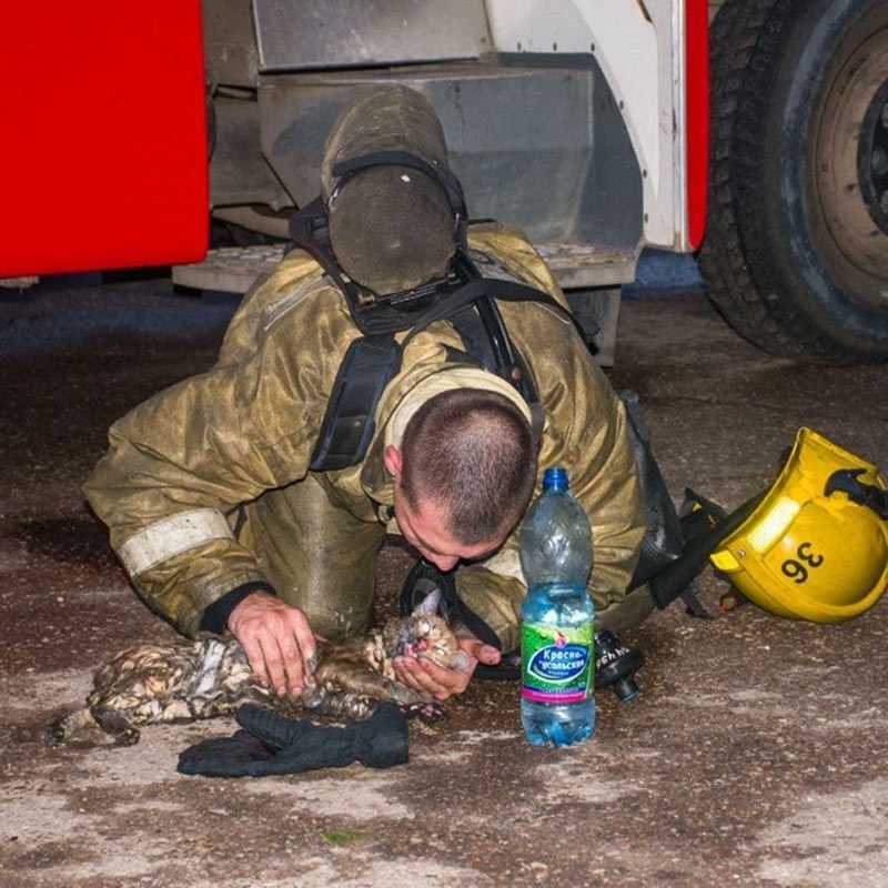 В Башкирии пожарные спасли 11 человек и реанимировали кота