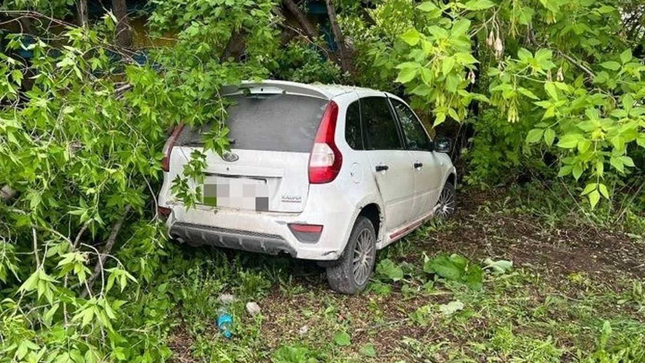 В Уфе при столкновении автомобиля с деревом пострадали мать с ребенком