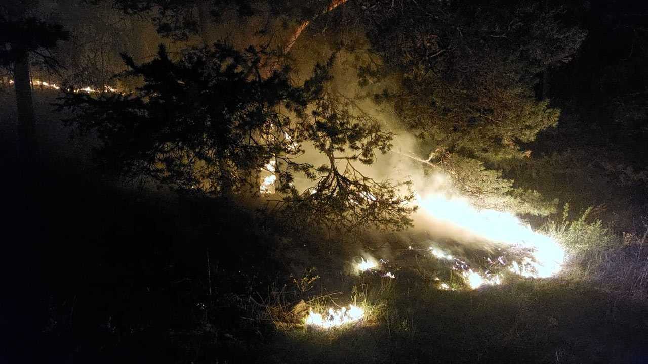 В Башкирии недалеко от Абзаково загорелась сухая трава в лесу