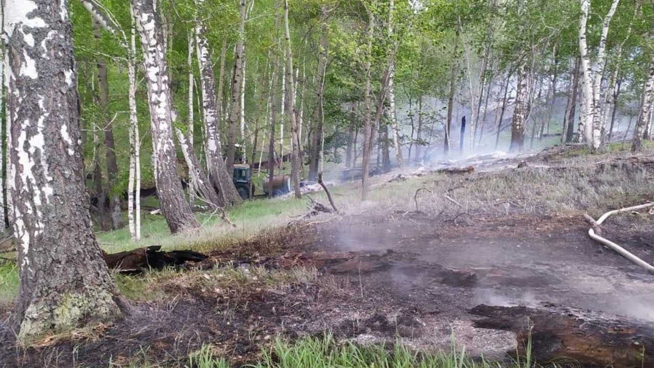 В Башкирии огнем охватило 38 гектаров леса