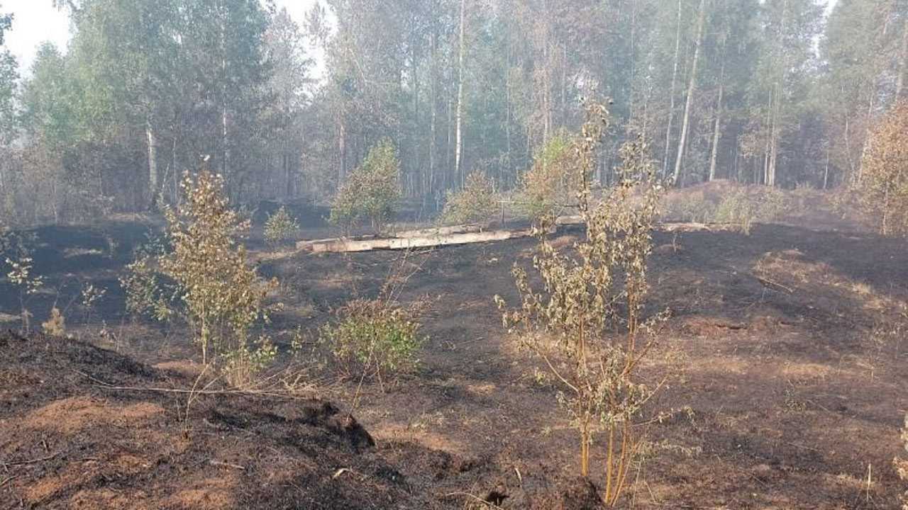 В Башкирии почти 100 человек тушат природный пожар