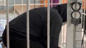 В Башкирии начался суд над убийцей жены-чиновницы Аликом Махияновым