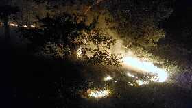 В Башкирии недалеко от Абзаково загорелась сухая трава в лесу