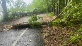 В Уфе ливень с сильным ветром повалил деревья и залил улицы