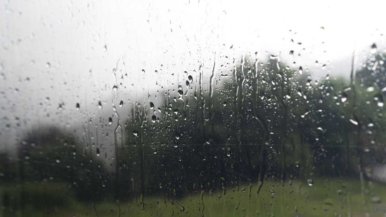 В Башкирии 5 июня 2023 года прогнозируются дожди с грозами и ветром