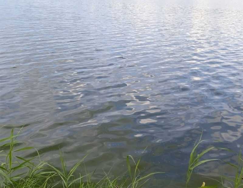 В Башкирии в пруду утонул молодой мужчина