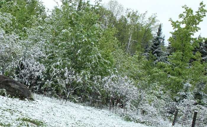 В Башкирии 23 июня прогнозируются осадки и заморозки до -2 градусов