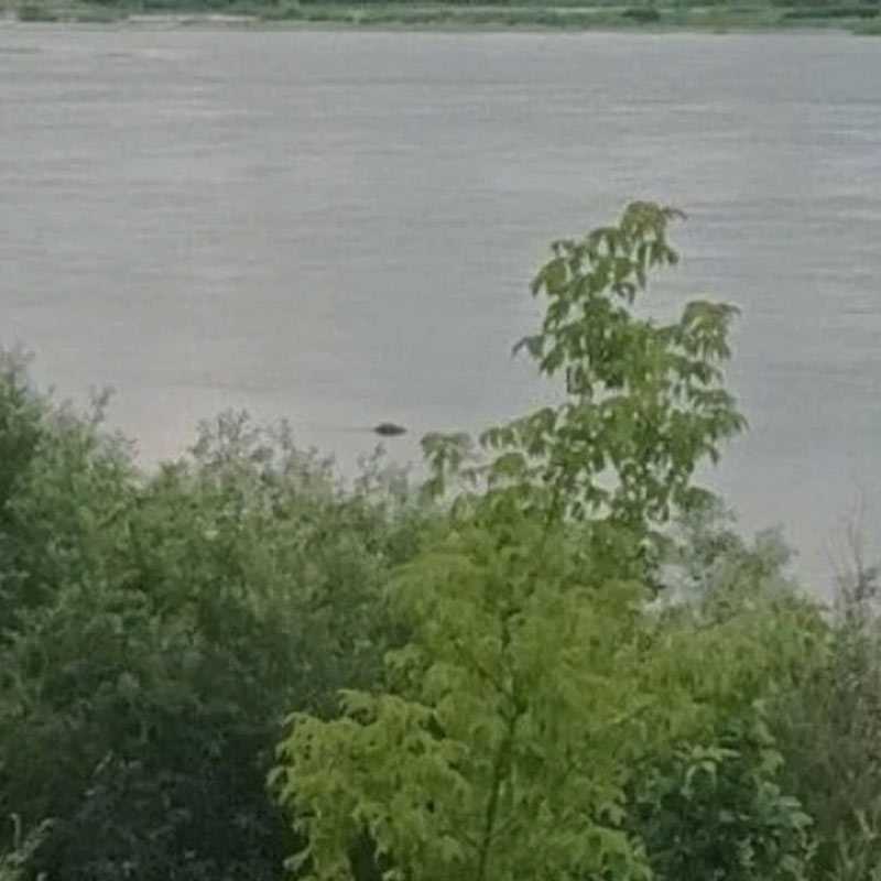 Житель Башкирии нашел на реке тело своего отца