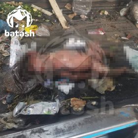 В Башкирии на мусорной свалке обнаружили тело новорожденного ребенка