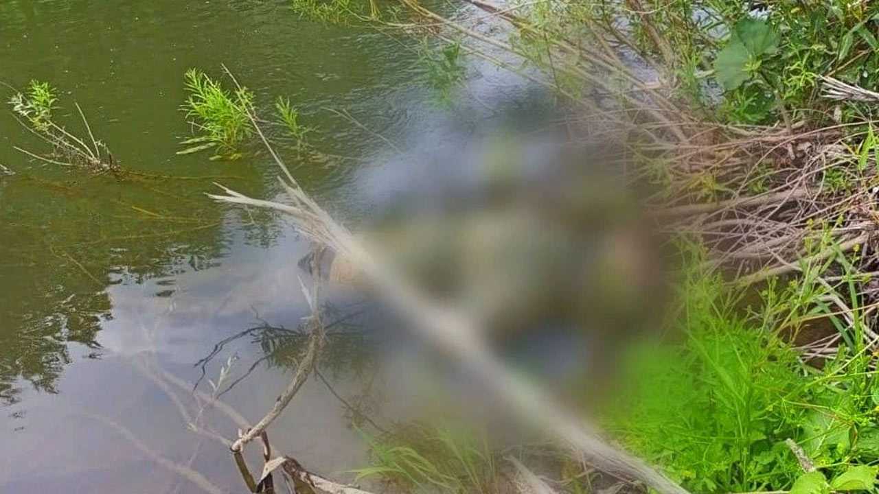 В водоемах Башкирии за сутки утонули двое мужчин