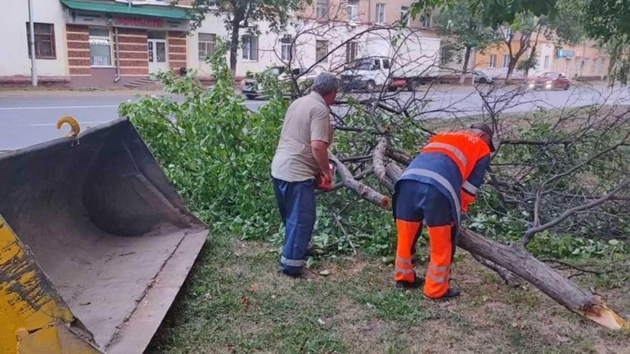 Ураган в Уфе повалил 85 деревьев и повредил 12 автомобилей