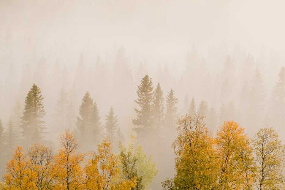 Башкирию 6 сентября накроет густой туман