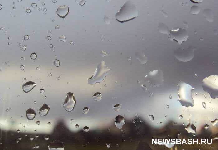 В Башкирии  на выходные прогнозируются дожди