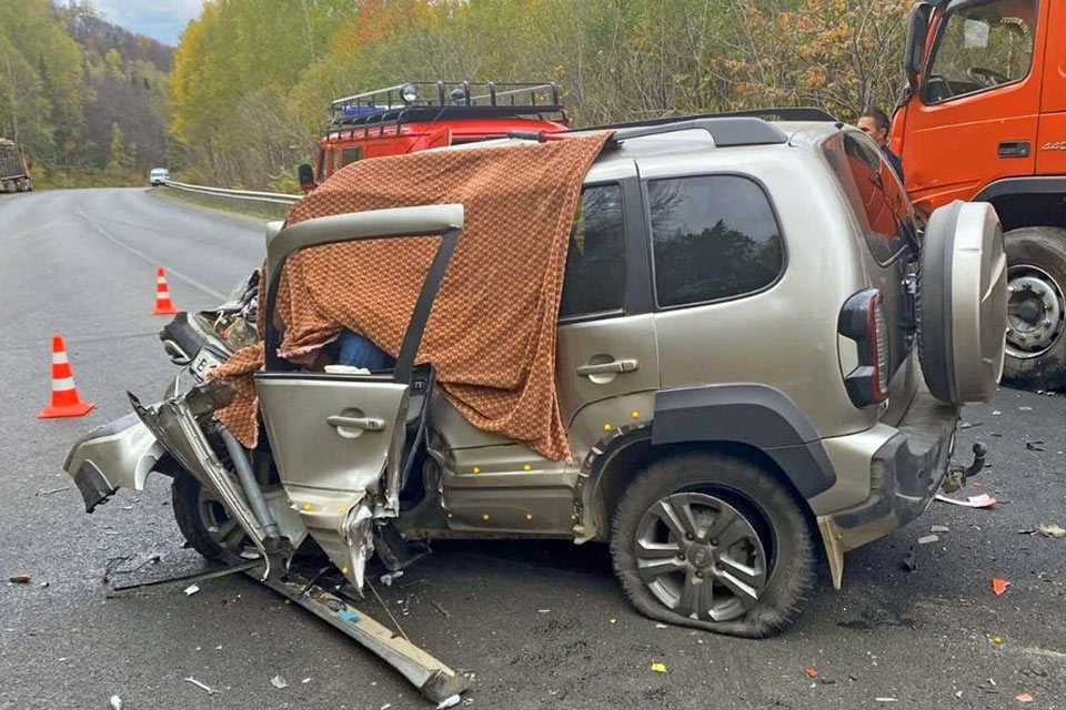 На трассе Уфа-Инзер-Белорецк в ДТП с лесовозом погиб водитель Chevrolet Niva