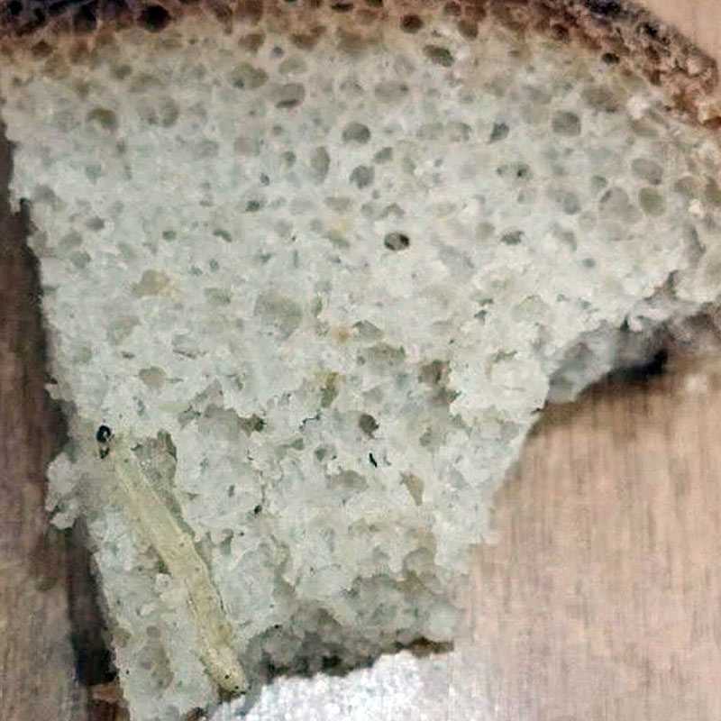 Житель Башкирии едва не съел червяка в хлебе