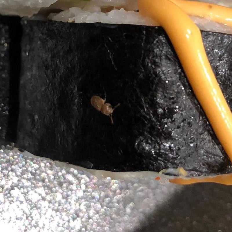 В роллах из уфимского ресторана нашли жука