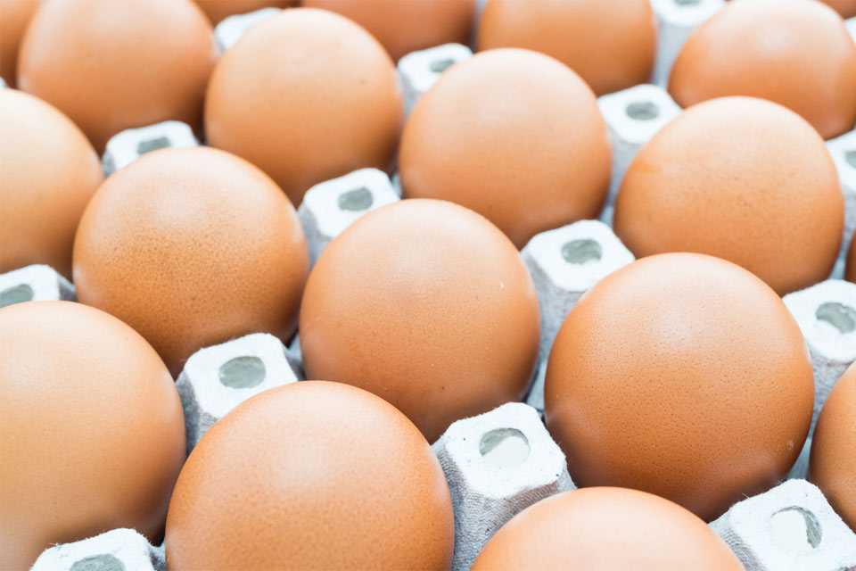 Яйца из Турции появятся на российских прилавках: чем они удивят потребителей