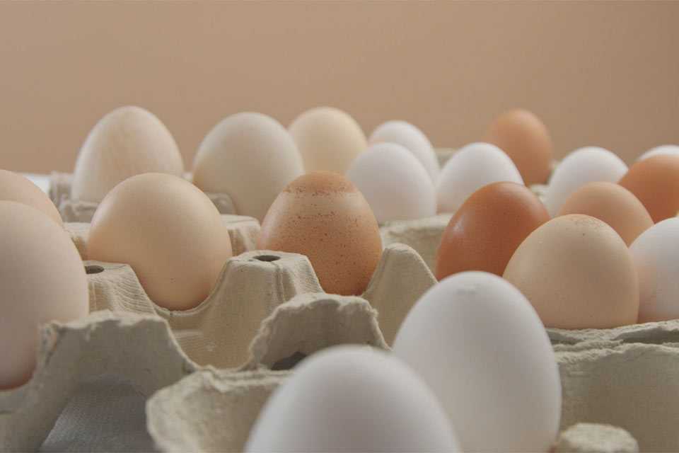 Дешёвых яиц больше не будет? Прогноз цен от эксперта