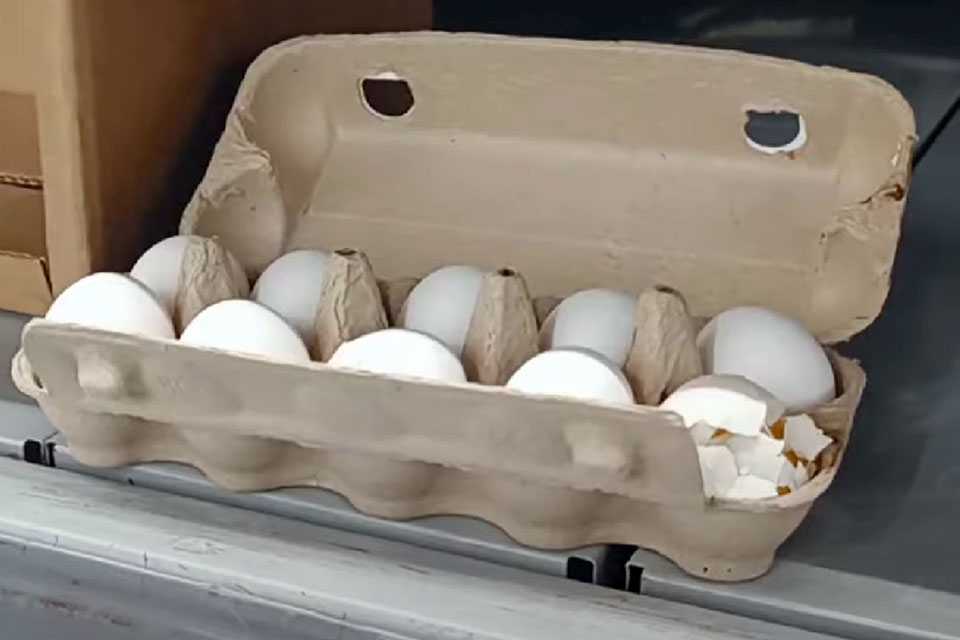 Новые цены на яйца шокировали покупателей