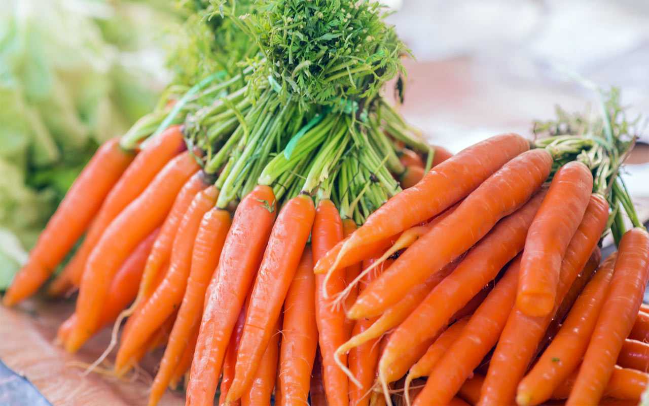 Эксперт назвал лучшие сорта моркови: дачники скупают уже зимой, их потом не найти